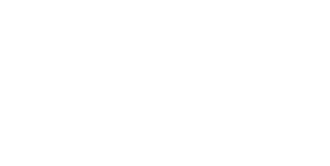 PGZ International